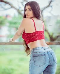 Raipur Escorts